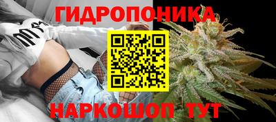 мяу мяу мука Лесосибирск