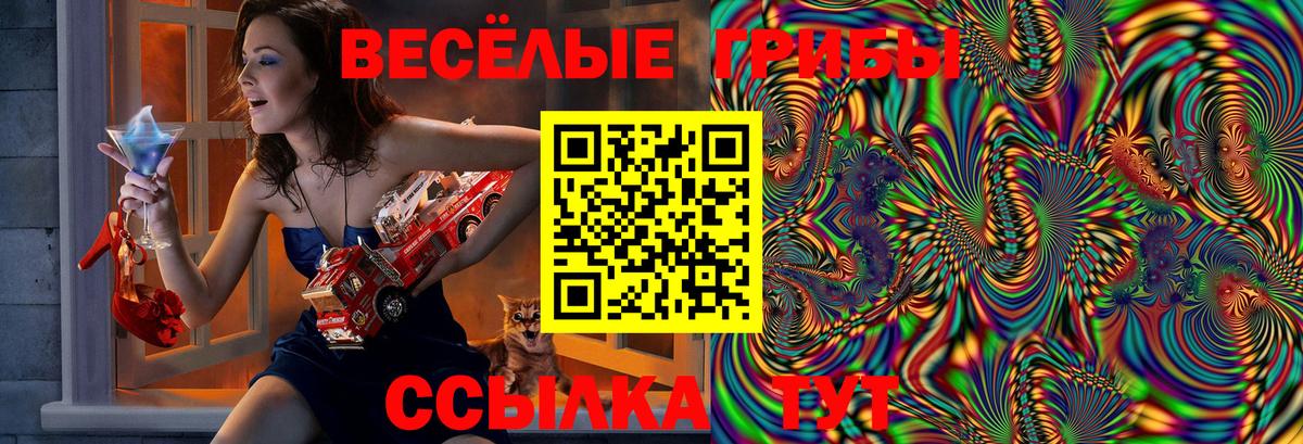 Псилоцибиновые грибы Psilocybine cubensis Урай